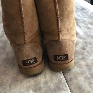 chestnut UGGS
